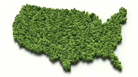 Forest in usa map silhouette 動画素材 75764584