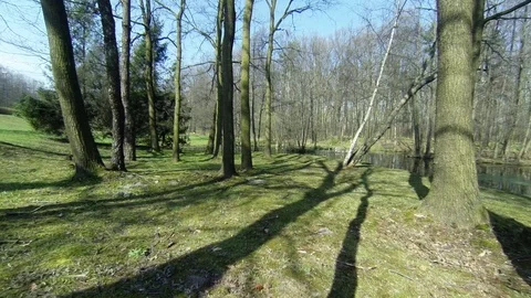 Forest on the valley 3 ponds in Katowice. Stock Footage 107905053