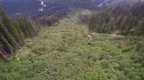 Forest Valley Aerial Stock Footage 40612783