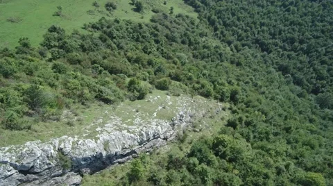 Forest valley and a rocky cliff Stock Footage