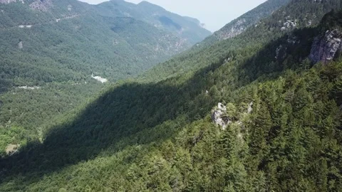 Forest in the Valley and the Shadow from the Clouds Stock Footage 237986932