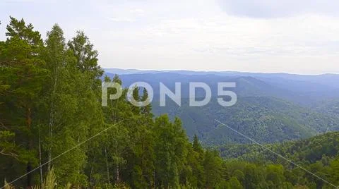 Forest in the valley between the hills. Bird's eye view Stock Photos