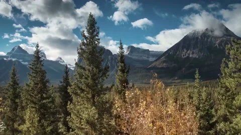 Forest valley at the foot of the mountains Stock Footage 164907828