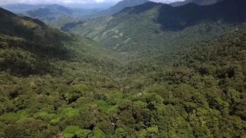 FOREST VALLEY 스톡 동영상 186015779