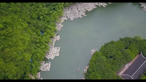 Forest valley river nature Stock-Footage 274414579