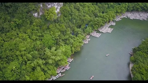 Forest valley river nature Video stock 274414582