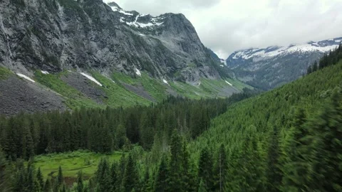 Forest valley surrounded by mountains, drone shot Stock Footage 289576701