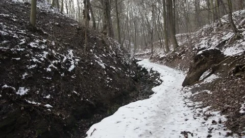 Forest valley trail track road scene in winter snow with leaves Stock Footage 148334229