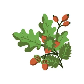 Forest vector bunch Stock Illustration