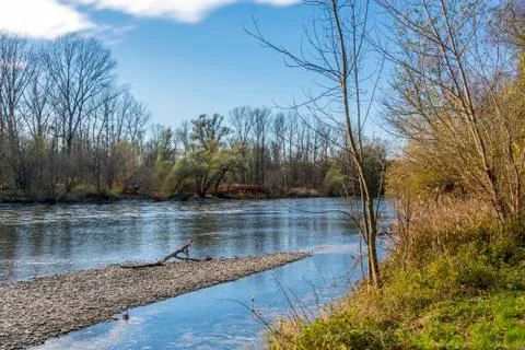 Forest vegetables in spring time by river Stock Photos
