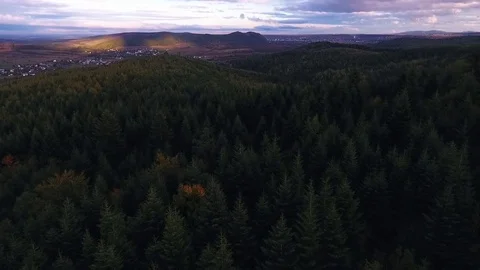 Forest, view from above Stock-Footage 75569716
