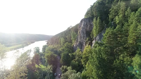 Forest, view from above. Video stock 99074814