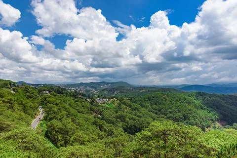 Forest view from above Stock-Fotos