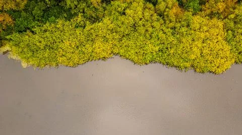 Forest View From Above Stock Photos