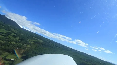 Forest view from aircraft Stock Footage