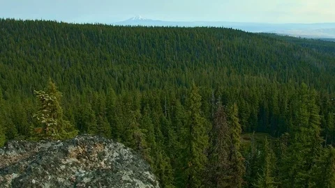 Forest view and hidden lake Mt. Hood Oregon Cascades 19 Stock-Footage 81694110