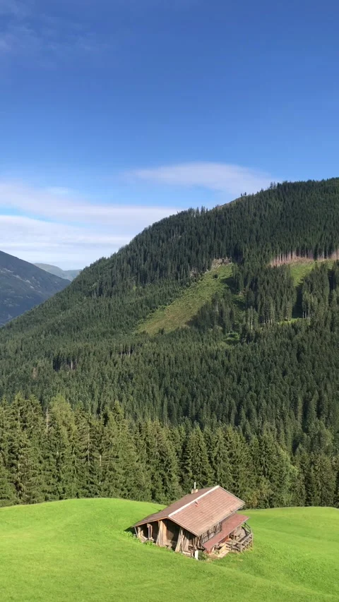 Forest view in Austria Stock Footage 176890987