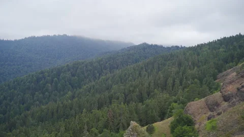 Forest view from behind the cliffs. Stock Footage 212260458