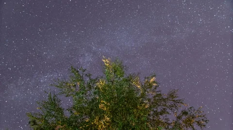 The forest view from the bottom by sky with stars. Time lapse capture Stock Footage 52597693