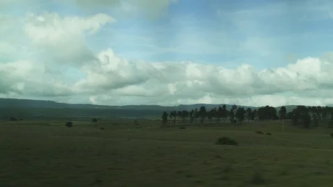Forest view from car road trip in european mountains in sunny afternoon. Point 動画素材 119358884