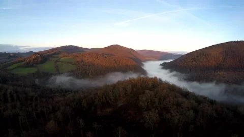 Forest view 库存影片 147366531