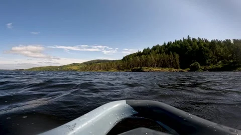 Forest in view Stock Footage 309973402