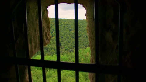 A forest view framed by an old stone window with vertical metal bars Stock Footage 309358427