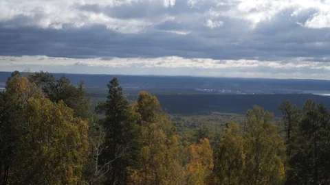 Forest view from the hill Video stock 105282108