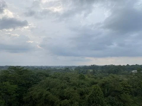 Forest view from Jambe Tigaraksa Foto stock