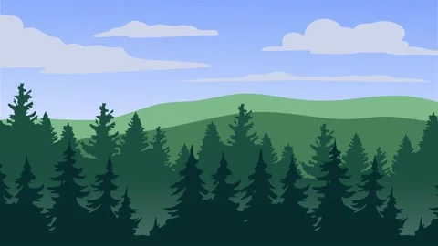 Forest view with many trees Stock Footage 308609565
