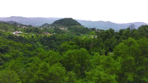 Forest view in the morning, West Java Indonesia Stock Footage 277404257