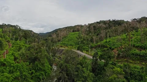 Forest view on a mountain in Cambodia. 2K Stock Footage 246103120