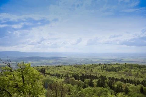 Forest view from mountaintop on cloudy day. Stock Photos