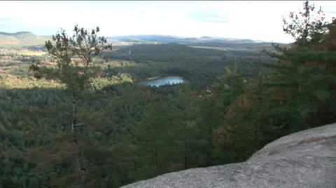 Forest View from Mountaintop Stock Footage 888501