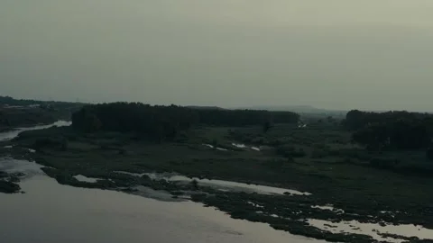 Forest view near river with crows flying over Stock Footage 132829264