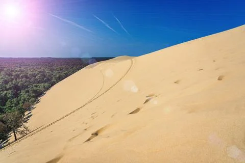 Forest view of the the Pyla dune, located in the Arcachon bay in Aquitaine, F Stock Photos