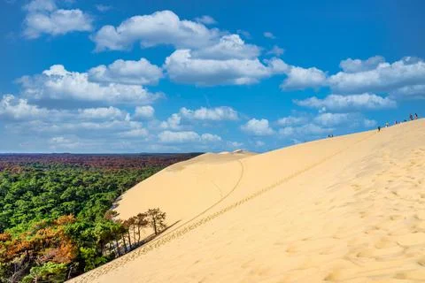 Forest view of the the Pyla dune, located in the Arcachon bay in Aquitaine Stock Photos