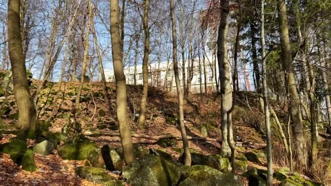 Forest with a view of the radio station Stock Footage 330167167