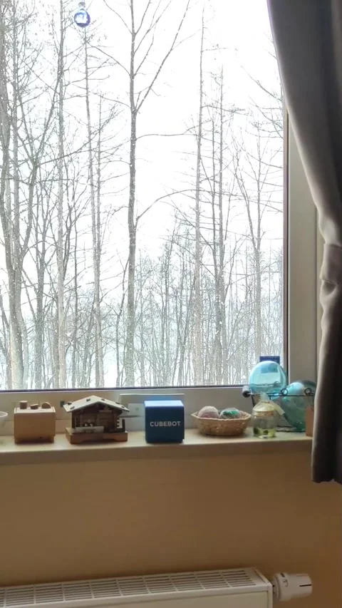 The forest view with snowy weather through the window. Stock Footage 238851231
