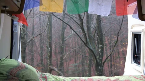 Forest view through interior of a camper van Stock Footage 98043819