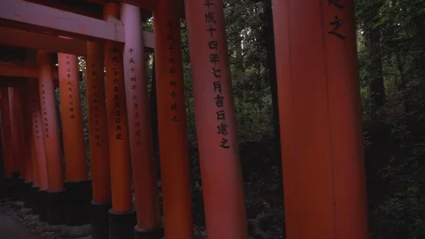 Forest view through Torii gates, Fushimi Inari Shrine at Sunset Stock Footage 111922236