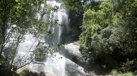 Forest view of waterfall Stock Footage 59941295