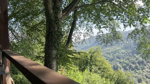 Forest View from Wooden Observation Deck in Kartepe, Turkey Stock Footage 340642127
