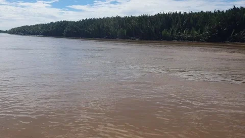 Forest views around the Kapuas River, West Kalimantan Stockbeeldmateriaal 337166414