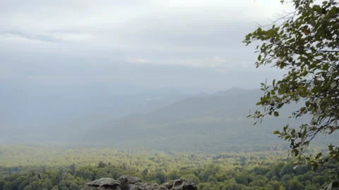 Forest views from the cliff Stock Footage 94737474