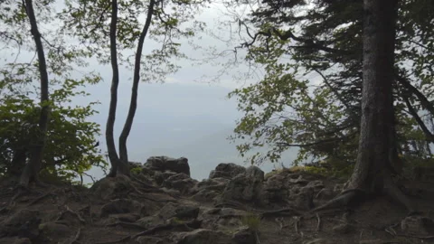 Forest views from the cliff Stock Footage 94737527