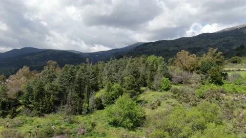 From forest to village Vídeos de archivo 137035061