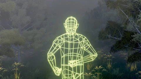 Forest VJ Loops Stockbeeldmateriaal 230618768