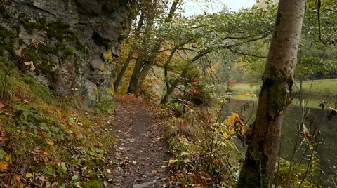 Forest Walk in Autumn,  Part2 Video stock 67722720