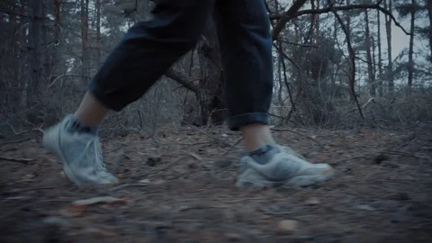 Forest walk 스톡 동영상 108655265